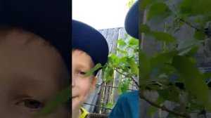 отвечаем на вопросы