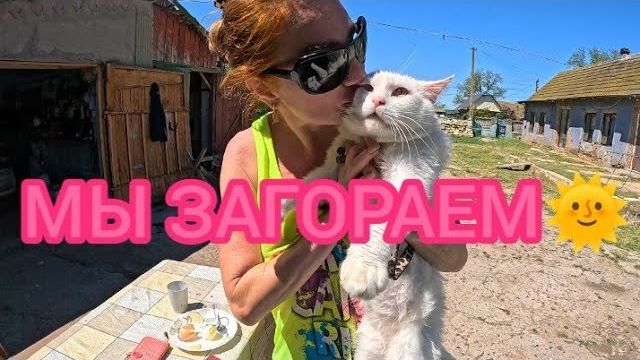 Алиса Неземная- НОВОЕ ИМЯ У КОТА- Я И КОТЫ нА СОЛНЦЕ