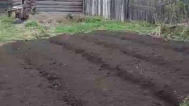 Как не хочется уезжать из дома.