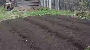 Как не хочется уезжать из дома.