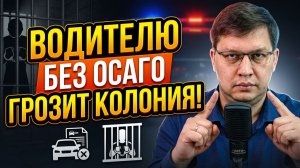 Очередной водитель без ОСАГО получил «уголовку»!