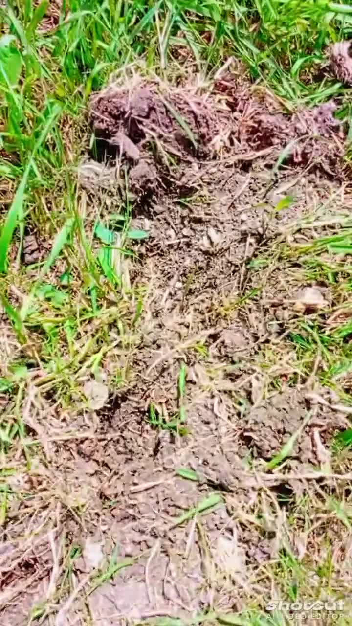 AQOR5SxCeCWvAF9eNXT_6WGxPEJNKkoMuRUgIzFqKvaQa_QqRb5fB0bU1ayerMvEUn96jmo.mp4