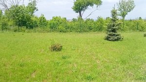 Парк Графский, входная группа г. Бутурлиновка 17-05-2026