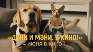 «Дени и Мэни. В кино!» — Трейлер (2026) | Лабрадор Дени, кот Мэни, Степан Девонин