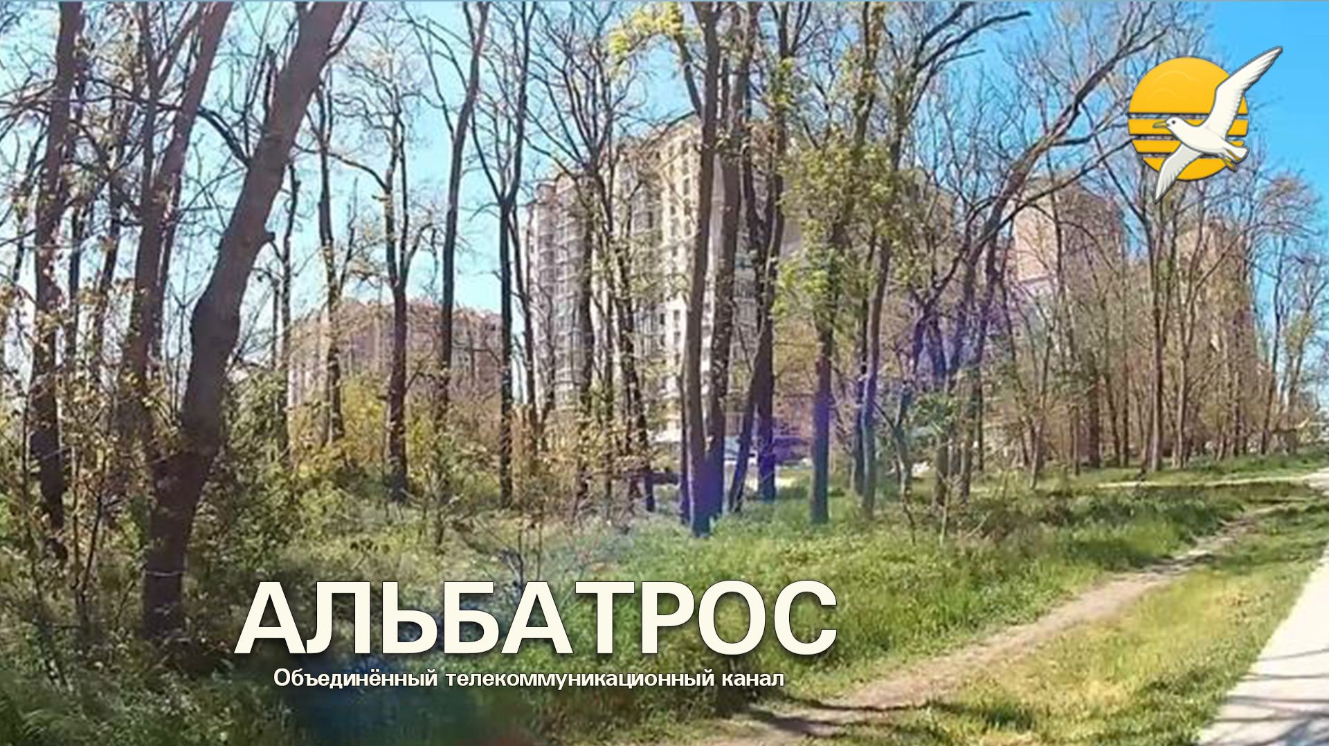 Идём с Братом Из Светофора // Анапа, 8 мая 2026