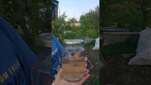 вирус первая часть