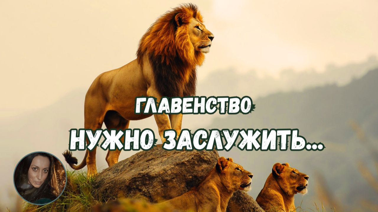 ГЛАВЕНСТВО НУЖНО ЗАСЛУЖИТЬ...
