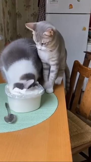 Как вкусно)))