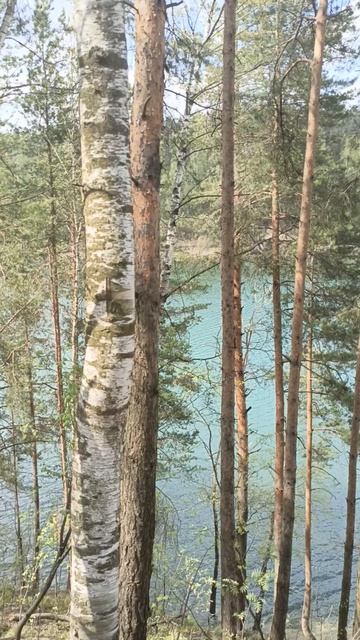 У карьера смотреть онлайн