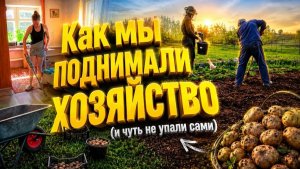 ПОДНИМАЕМ ХОЗЯЙСТВО | Дом в деревне | Деревенская жизнь