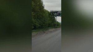 Молодые лосята замечены за утренней пробежкой