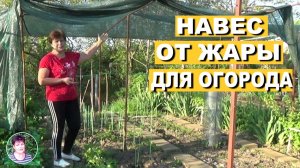 Как защитить овощи от жары Навес для огорода Полный обзор и мои рекомендации