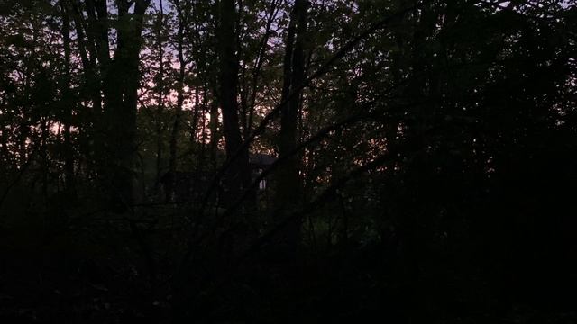 Пение соловья в деревне смотреть онлайн