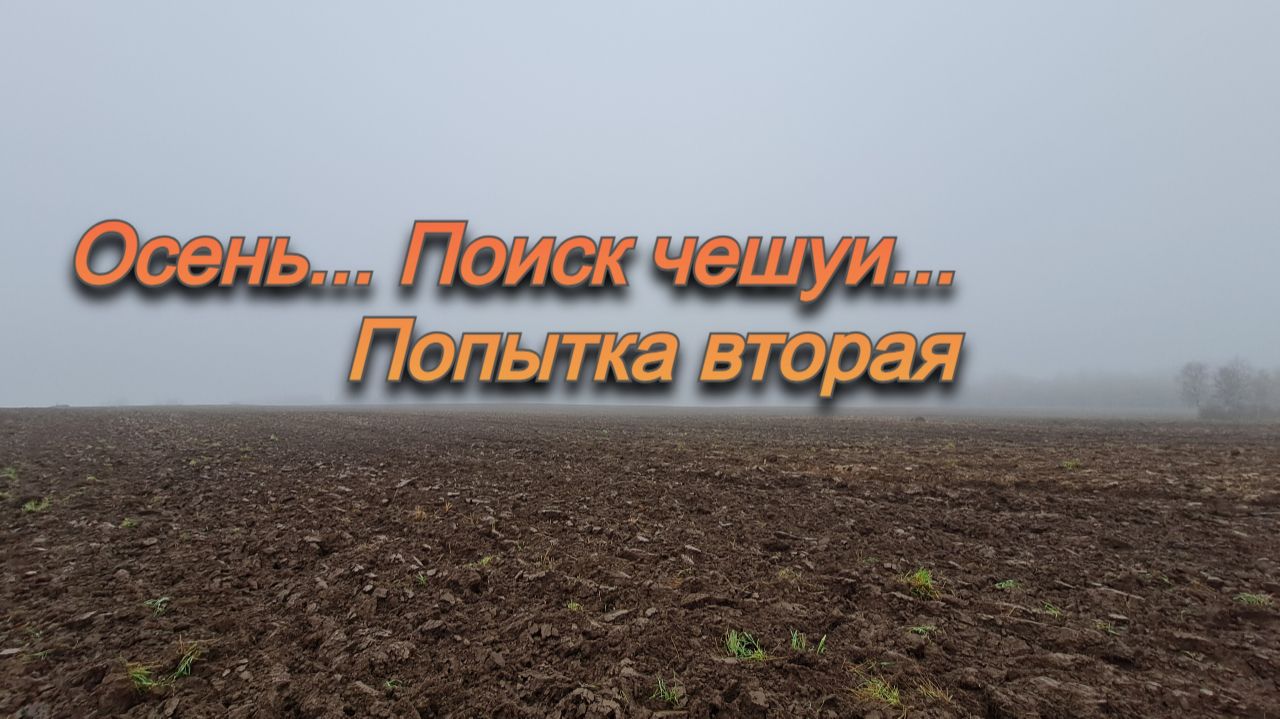 Попытка номер два найти чешую на этом поле. смотреть онлайн
