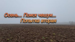 Попытка номер два найти чешую на этом поле.
