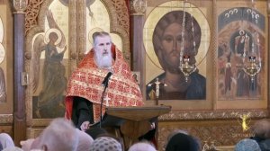 17.05.2026 Иеромонах  Димитрий (Волков) Воскресная проповедь