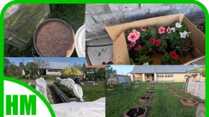 17 мая. Весь день в хлопотах и заботах....закрыть-открыть, полить, рассадить, помыть