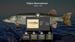САМЫЕ ИНТЕРЕСНЫЕ РАЗДАЧИ ФАРМА И ТРОФЕЕВ НА 17.05 ОБЗОР ВОДОЕМОВ В РУССКОЙ РЫБАЛКЕ 4 РР4