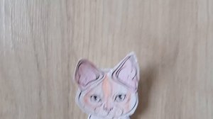 делай со мной котов и кошек! 😻😺😸😽