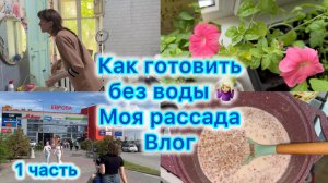Как готовить без воды 🤷🏼♀️ Моя рассада . Влог , часть 1  #влог #мойдень