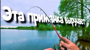 Рыбалка с одной приманкой и прогулка по берегу.