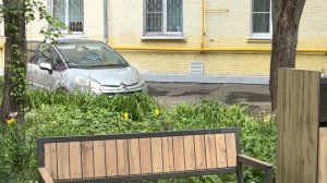 Видео от моего личного имени сегодня 17 мая 2026г. на территории района Филёвский парк г. Москвы.