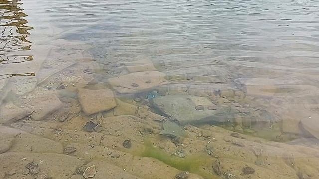 Прогулка по парку