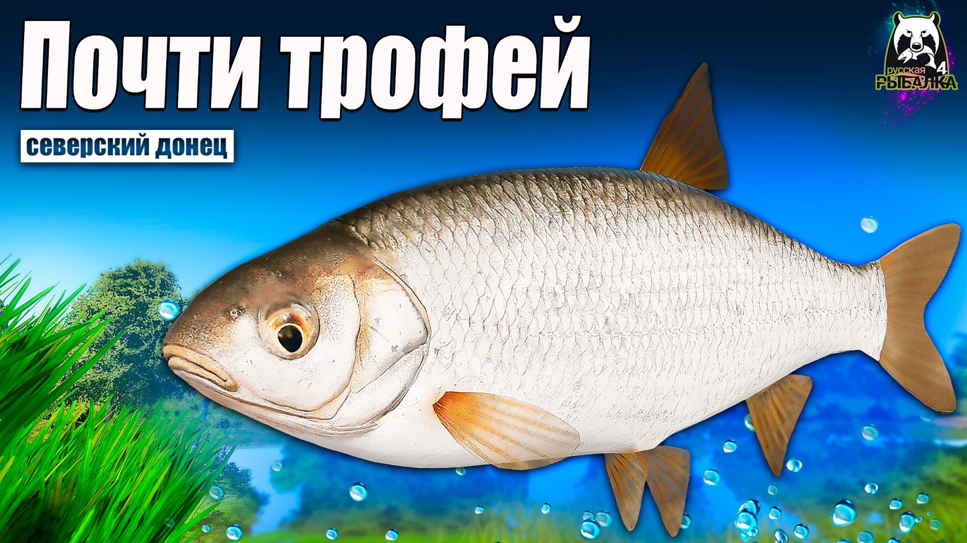 РР4 Чуть не взял трофей! Ельцы сами просятся на крючки #рр4