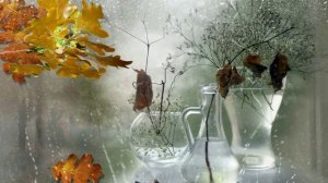 Вальс дождя