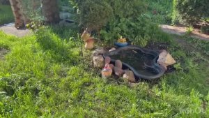 ВО САДУ ЛИ, В ОГОРОДЕ 🧑🌾🌷🎋🌿/ВСЁ НЕ ПЕРЕДЕЛАТЬ😱☝️/жизнь здесь и сейчас ✅❤️❤️❤️