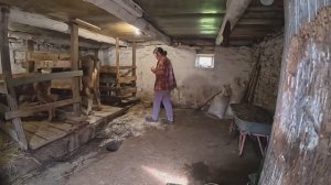 ПОДСКОЧИЛИ НИ СВЕТ НИ ЗАРЯ. КОНЧИЛАСЬ ХАЛЯВА!