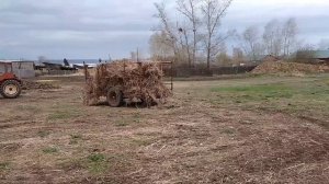 Трактор🚜 Т-25 пащет огород. Трактор🚜 Т-16