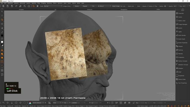 20_warpToolDistortion