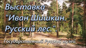 Выставка «Иван Шишкин. Русский лес.». Государственный Русский музей. 25 апреля 2026 года.