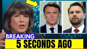 Macron Dismissed Vance – What Happened Afterward Cost France Everything