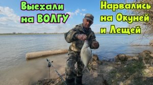 🔥Окуня и Леща - целый мешок, наловили на Волге. Рыбалка в Астрахани! Весна-2026