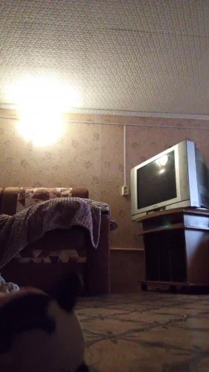 бырррррррр аба ба ба лаванда