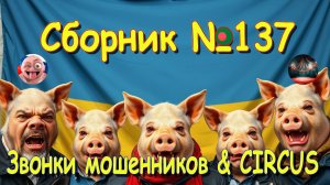 Сборник № 137