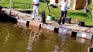 17.05.26 г. РК Волна.