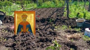 19 мая день Иова. Роса в этот день обладает чудодейственной силой.