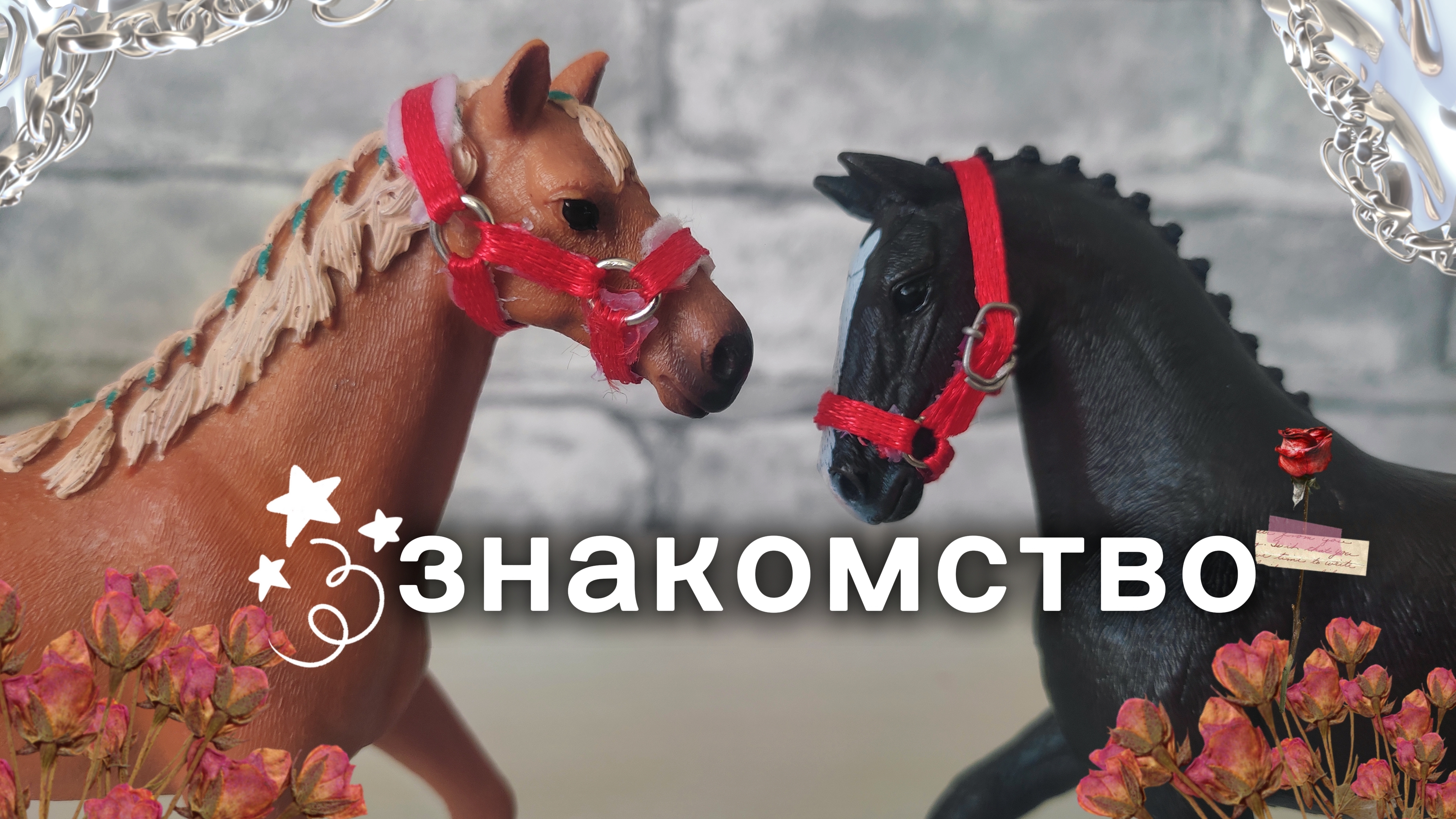 лошади шляйх знакомство