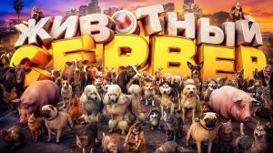 [Marmok] Животный сервер! 🐀🐷🐤 (GTARP)