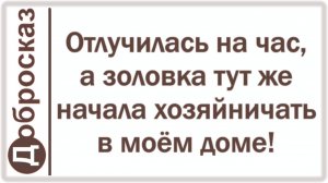 Отлучилась на час, а золовка тут же начала хозяйничать в моём доме!