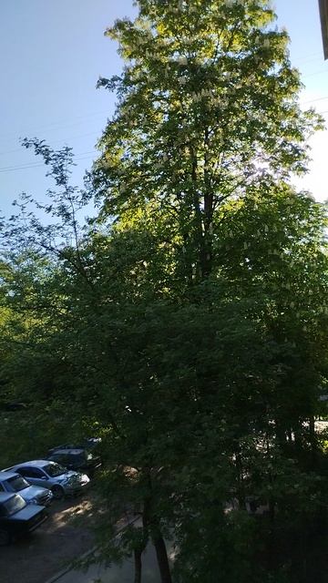 PXL_20260517_070759829.ACTIVE