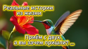 Реальные истории из жизни: приём с двух, а вы зачем пришли? | Домохозяйка