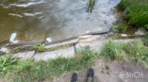 Мормышинг на карася на Луганском море в мае