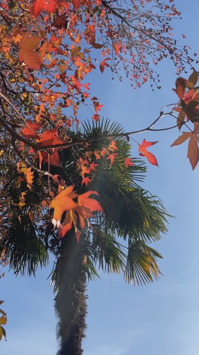 ХОЧУ ТУДА!!! ... НО, 🌴ЛЕТОМ!!! АДЛЕР! смотреть онлайн