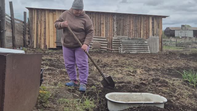 снег сыпет а мне не сидиться/ где подсажу,где подсыплю/ стадо / смотреть онлайн