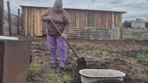 снег сыпет а мне не сидиться/ где подсажу,где подсыплю/ стадо /
