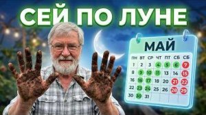 Календарь посадок на май 2026: благоприятные дни для овощей, ягод, зелени + гигантская малина